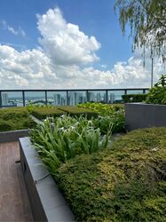 Woods Square (D25), Office #503762431